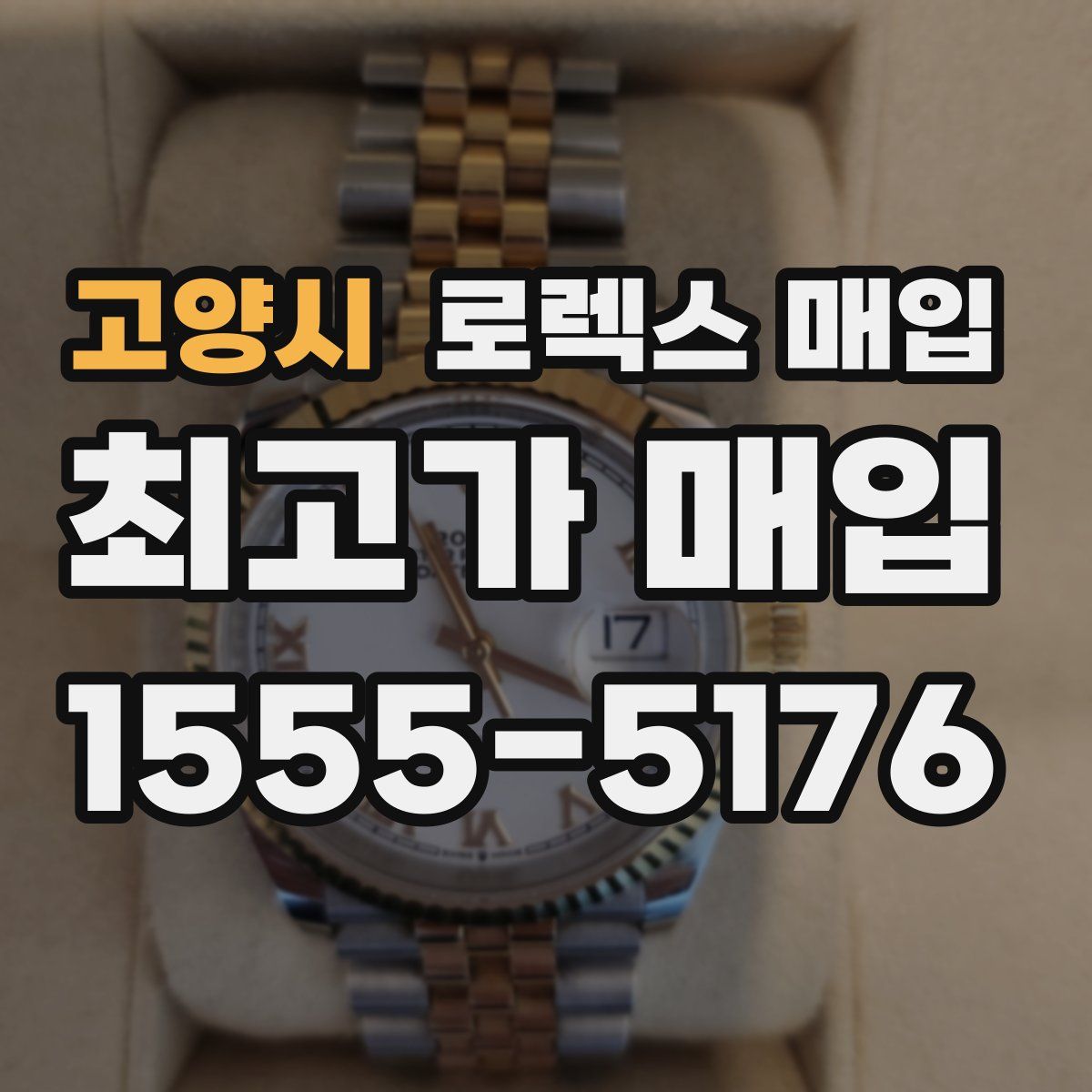 고양시 로렉스 매입