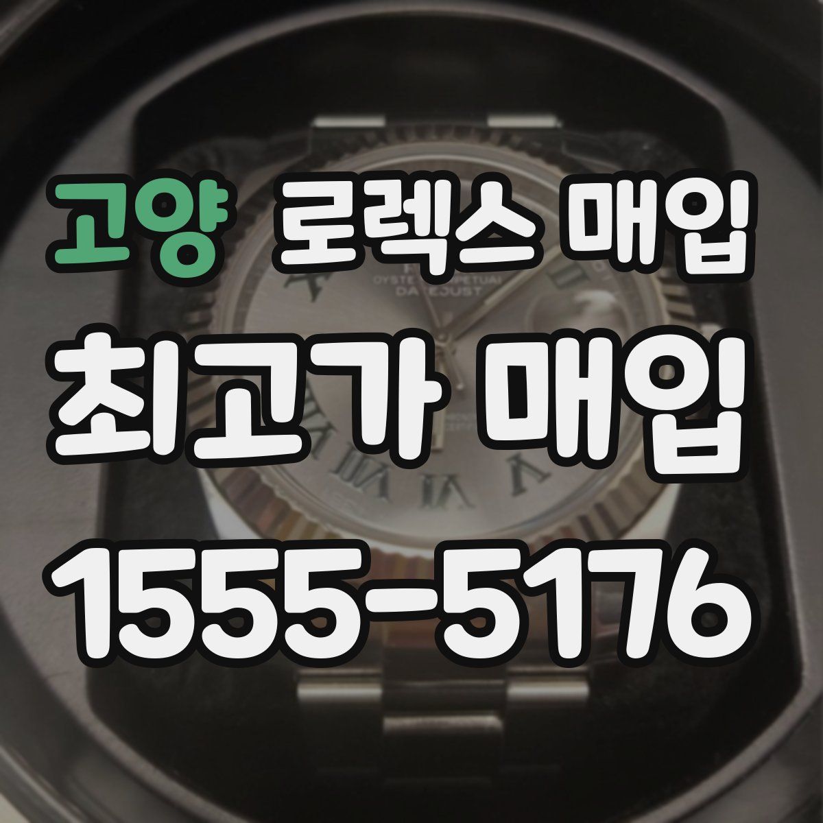 고양 로렉스 매입