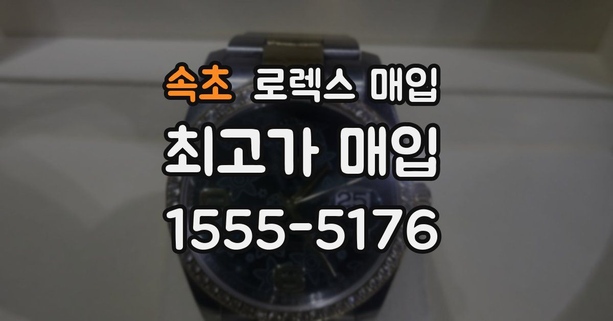 속초 로렉스 매입