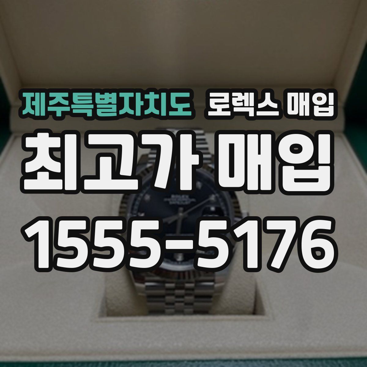 제주특별자치도 로렉스 매입