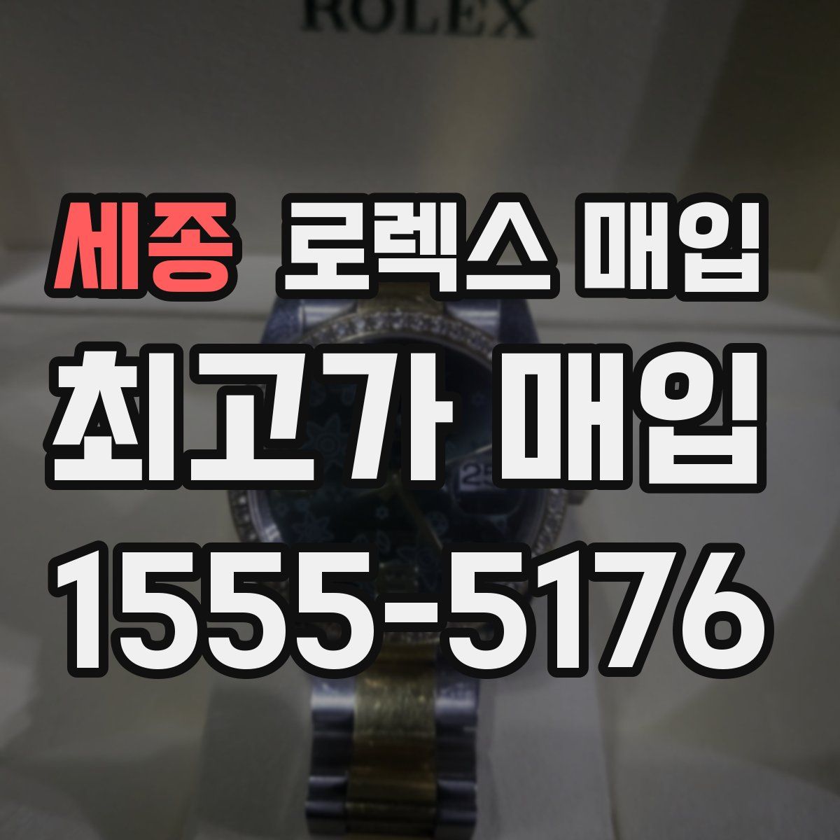 세종 로렉스 매입