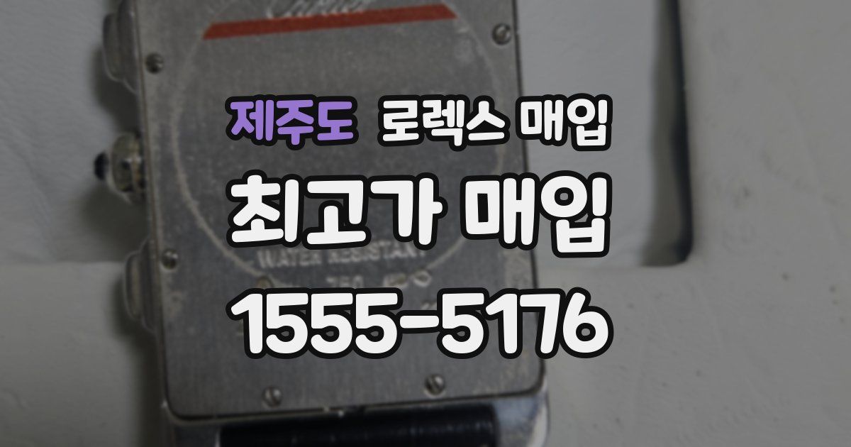 제주도 로렉스 매입