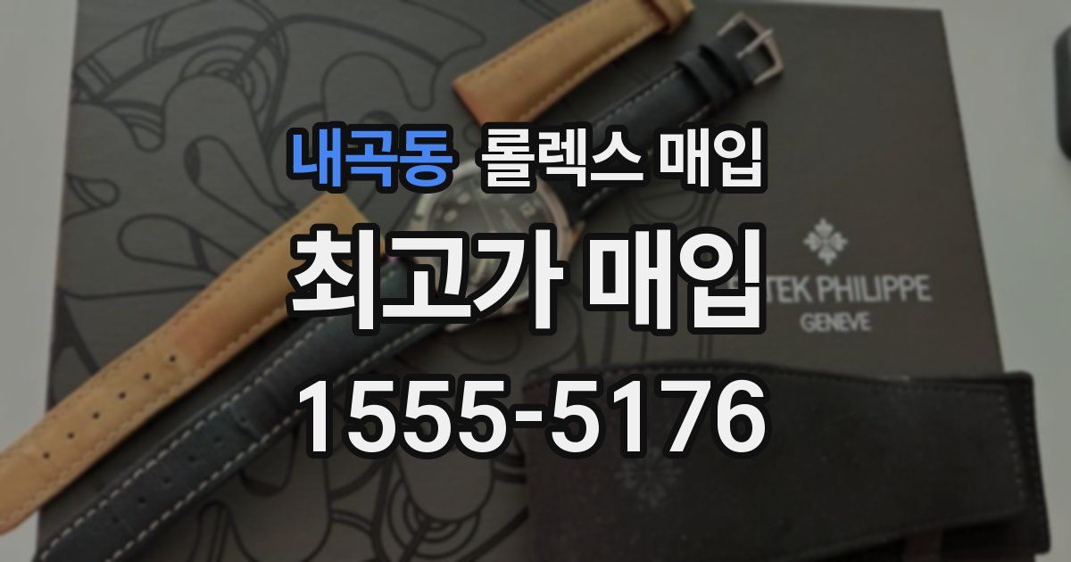 내곡동 롤렉스 매입