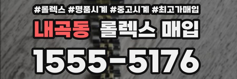 내곡동 롤렉스 매입