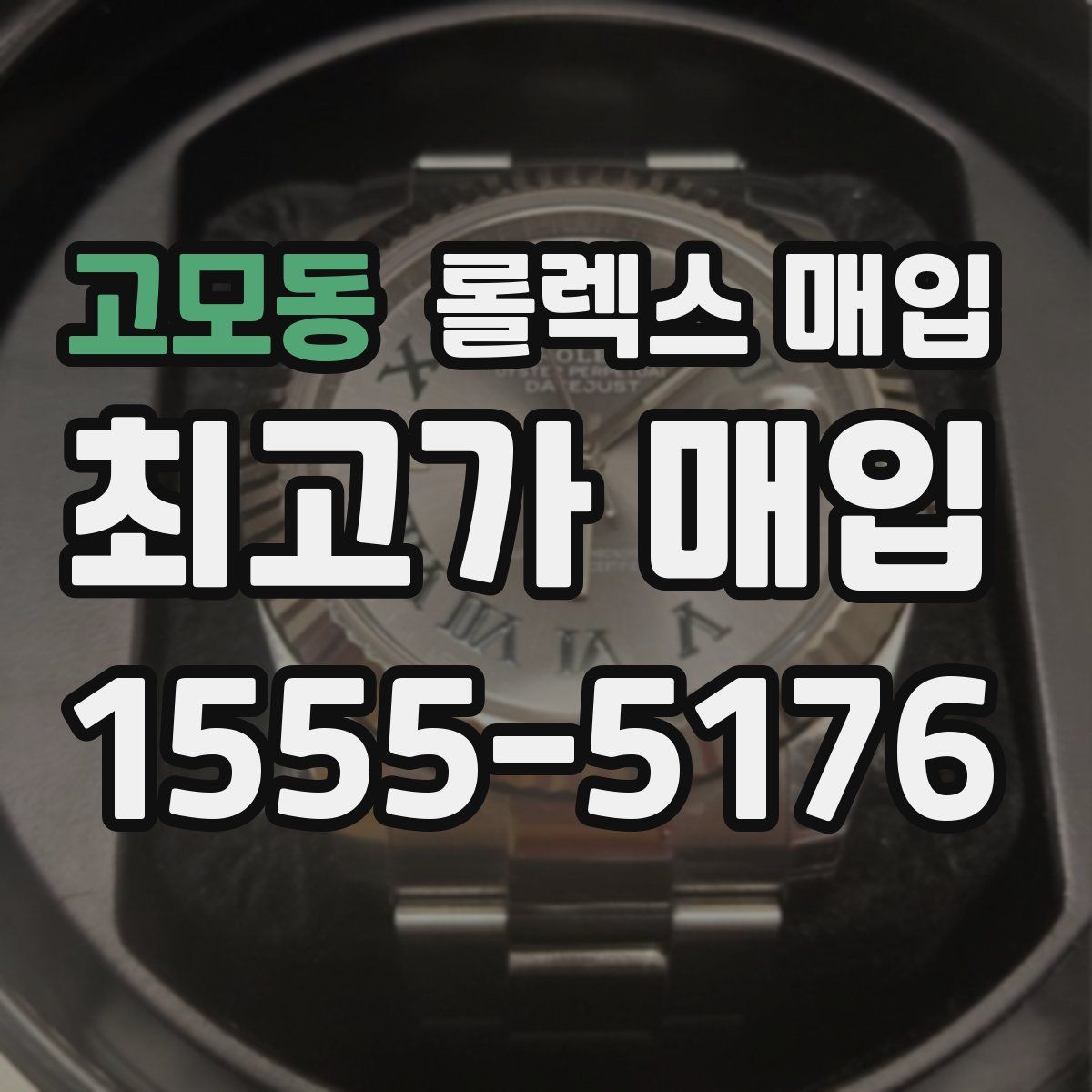 고모동 롤렉스 매입