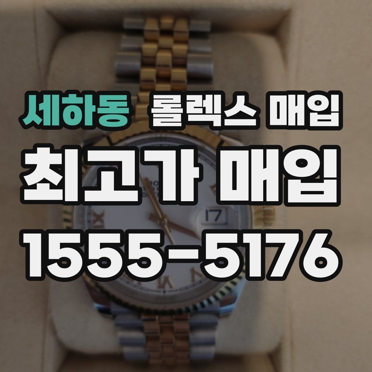 세하동 롤렉스 매입