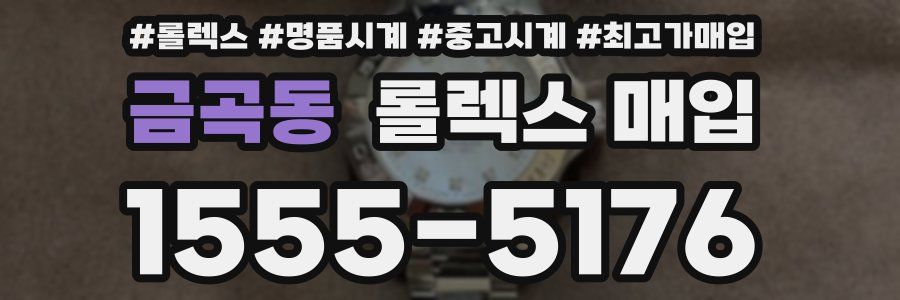 금곡동 롤렉스 매입