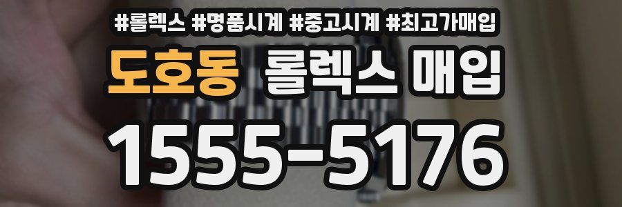도호동 롤렉스 매입