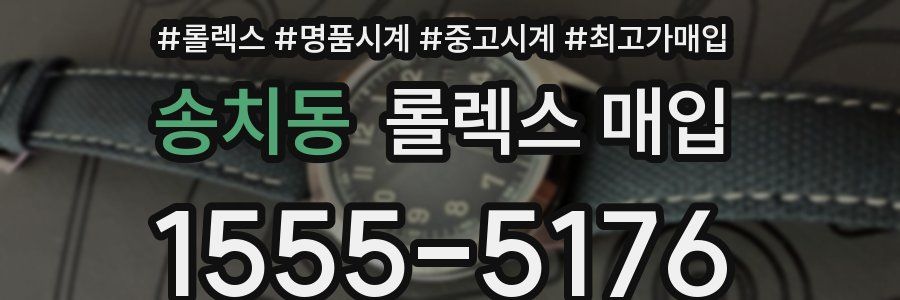 송치동 롤렉스 매입