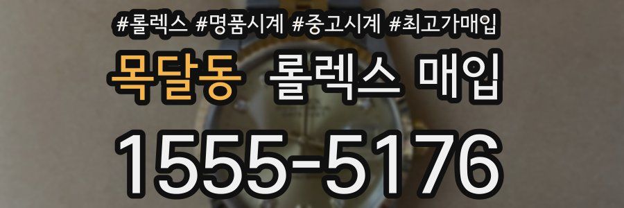 목달동 롤렉스 매입