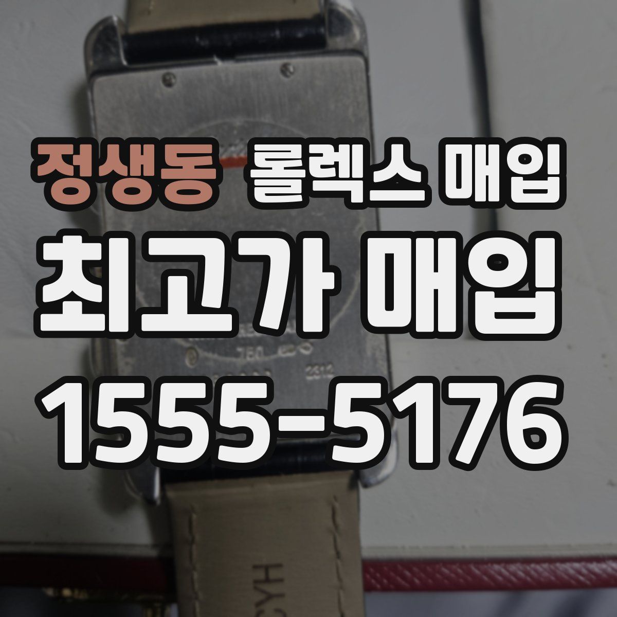 정생동 롤렉스 매입