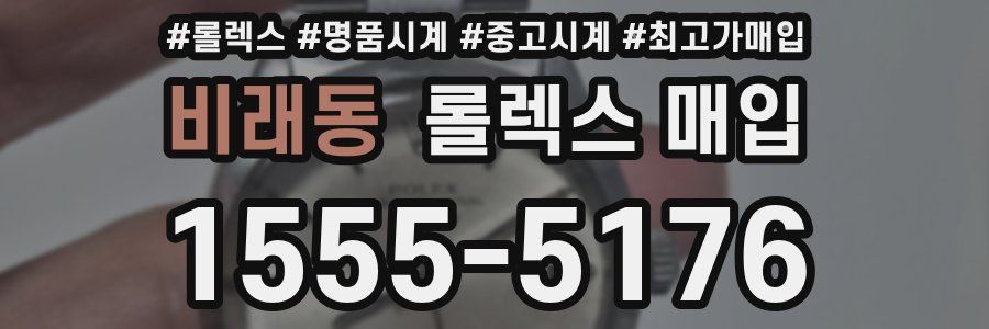 비래동 롤렉스 매입