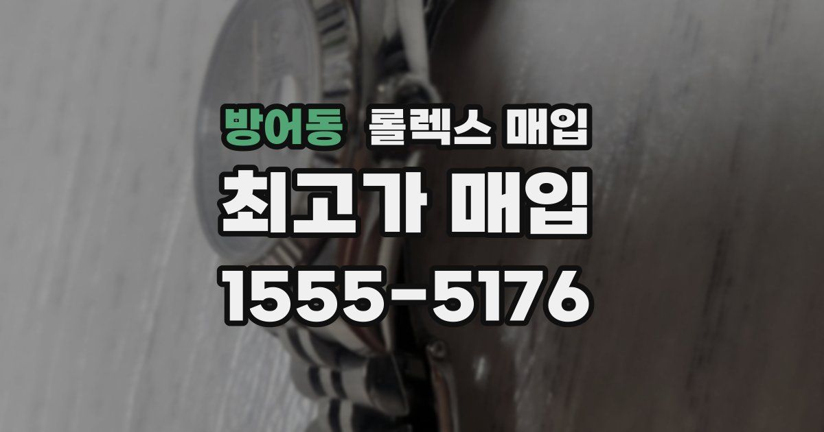 방어동 롤렉스 매입