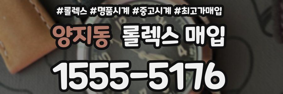 양지동 롤렉스 매입