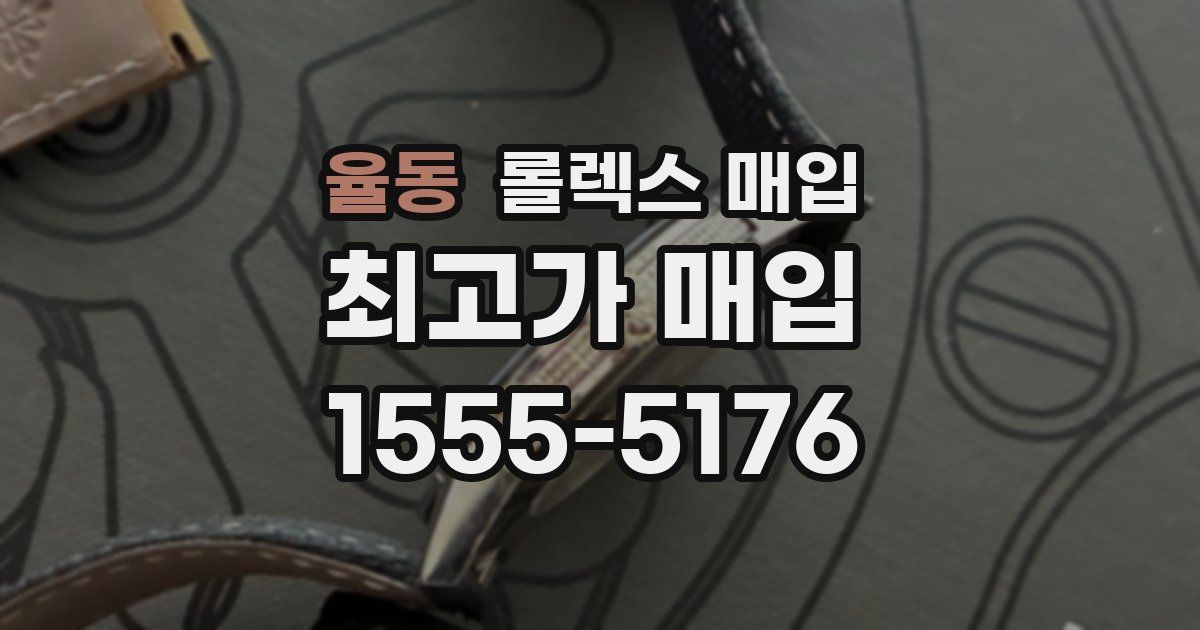 율동 롤렉스 매입