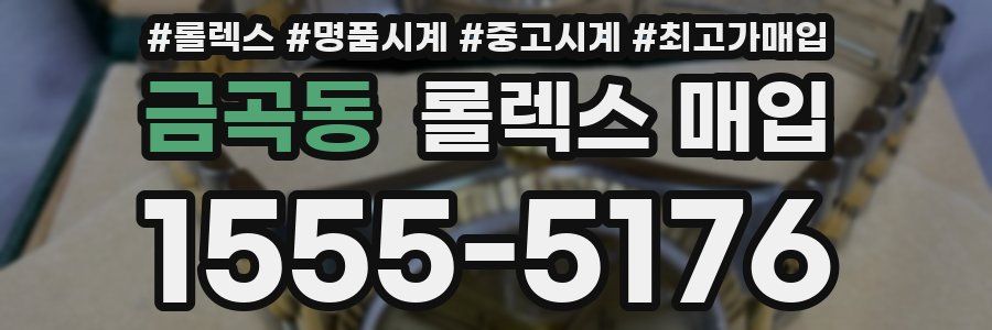 금곡동 롤렉스 매입