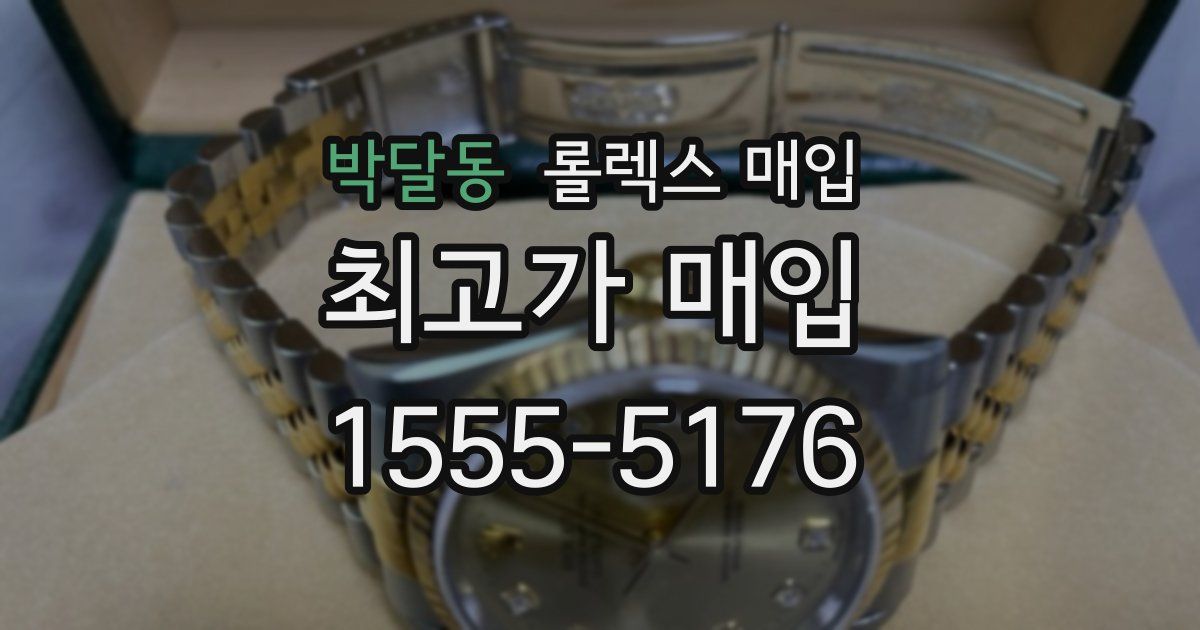 박달동 롤렉스 매입