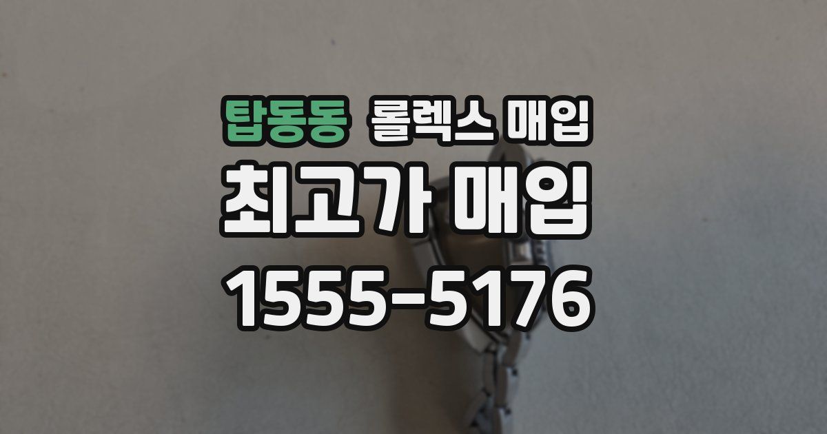 탑동동 롤렉스 매입