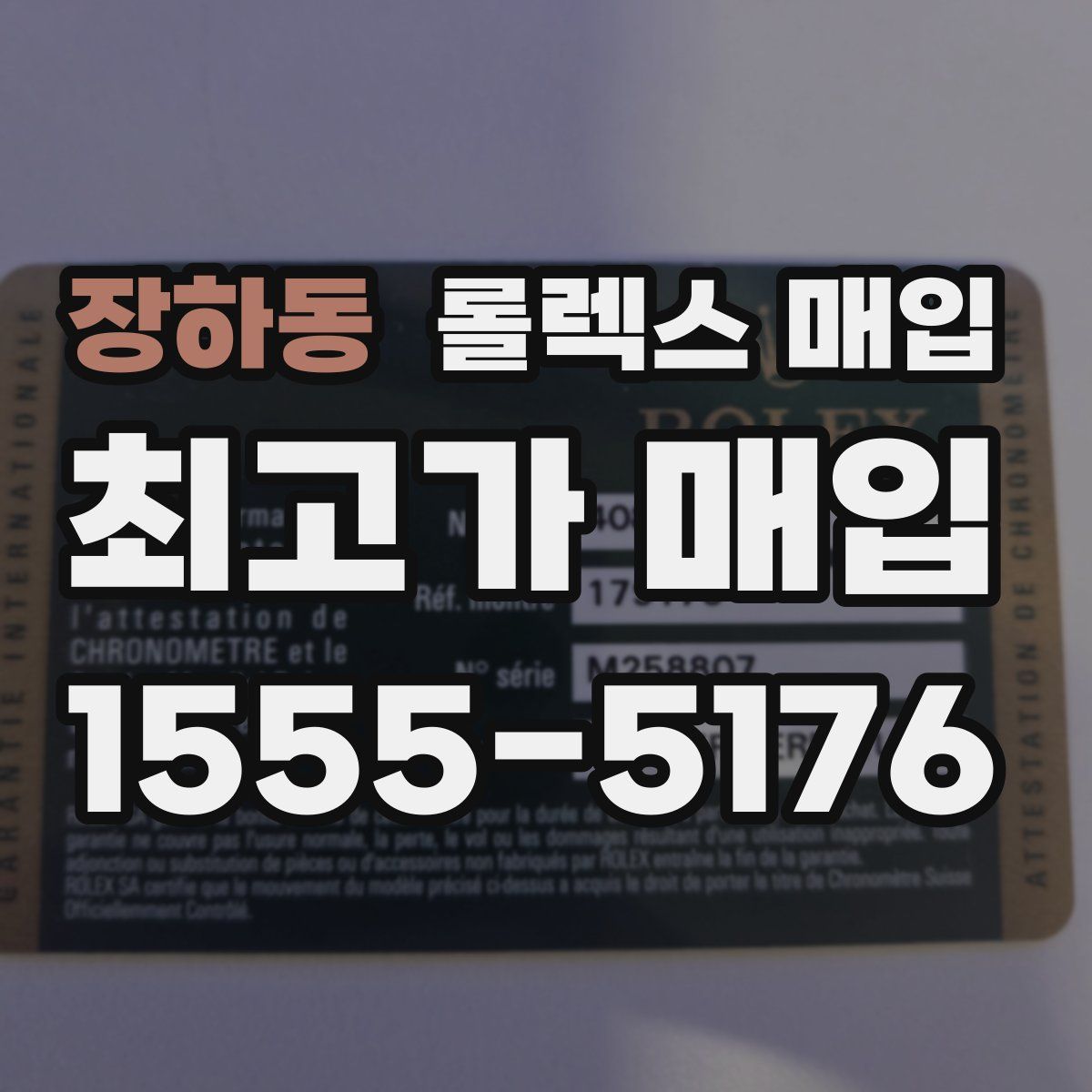 장하동 롤렉스 매입