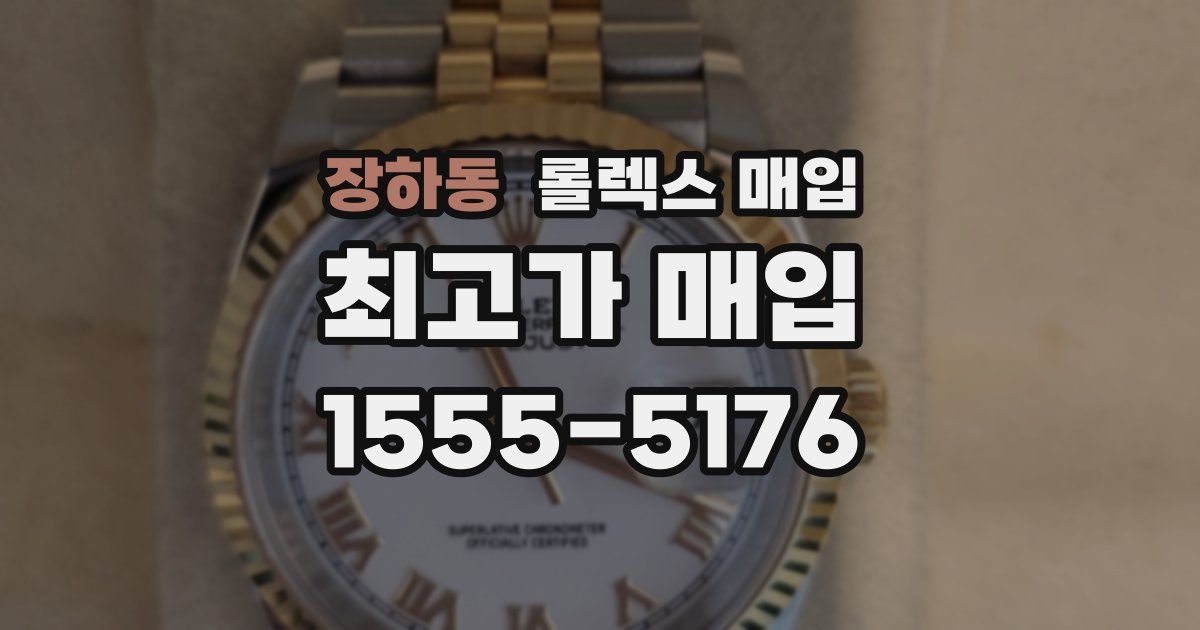장하동 롤렉스 매입