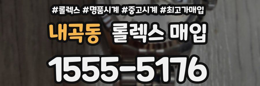 내곡동 롤렉스 매입