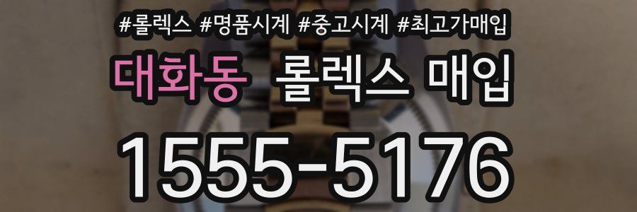 대화동 롤렉스 매입