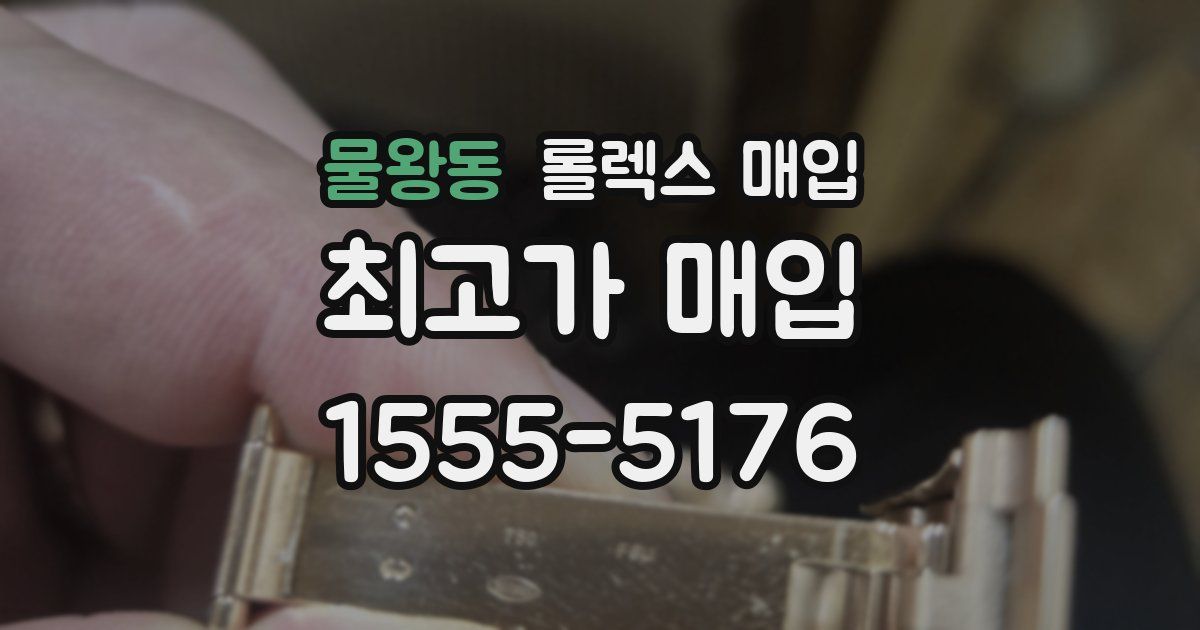 물왕동 롤렉스 매입