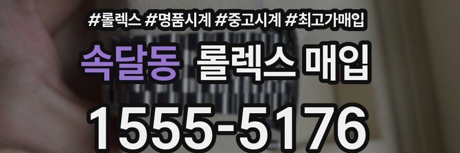 속달동 롤렉스 매입