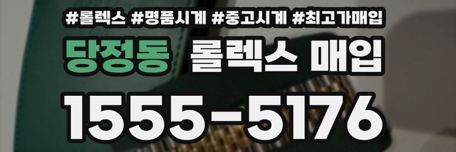 당정동 롤렉스 매입