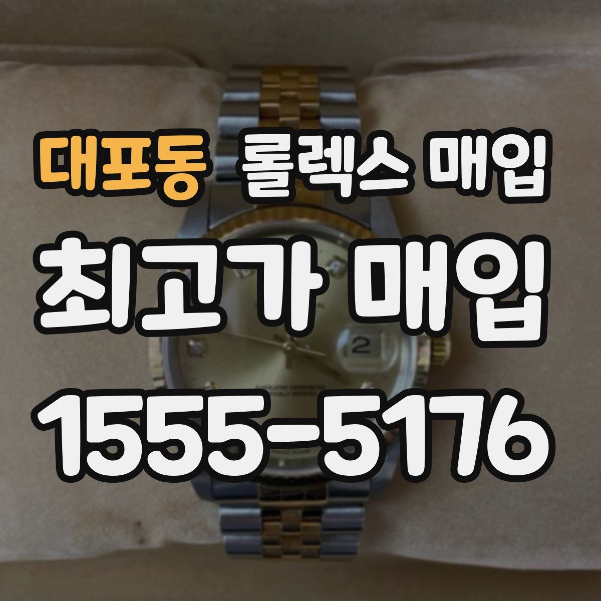 대포동 롤렉스 매입