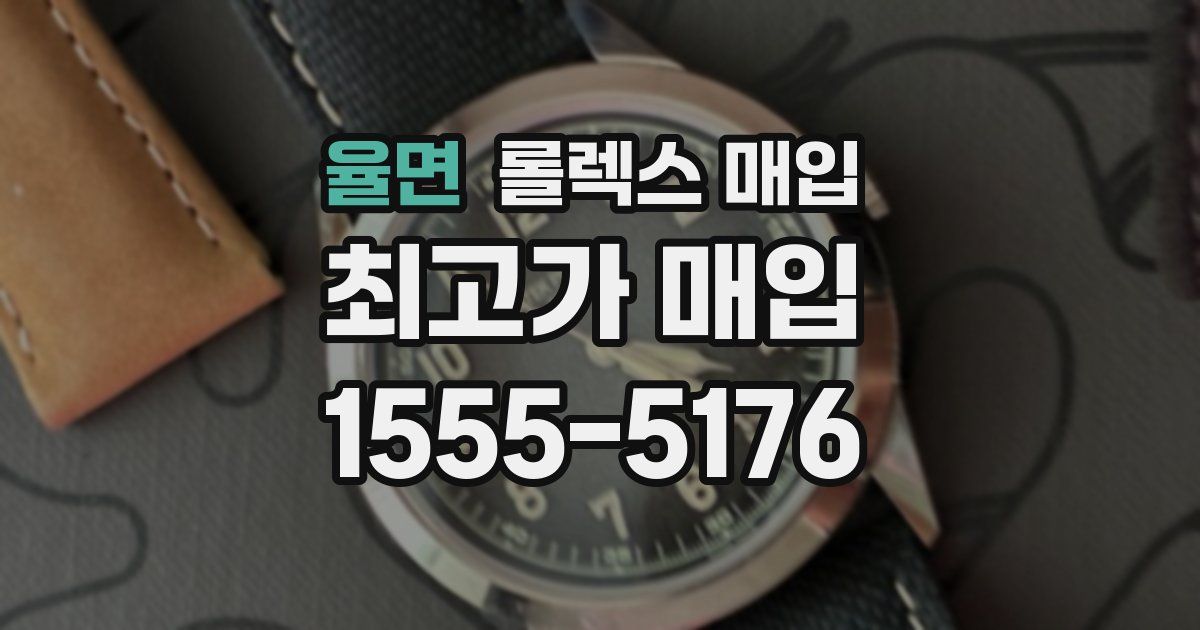 율면 롤렉스 매입