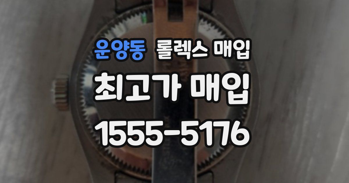 운양동 롤렉스 매입