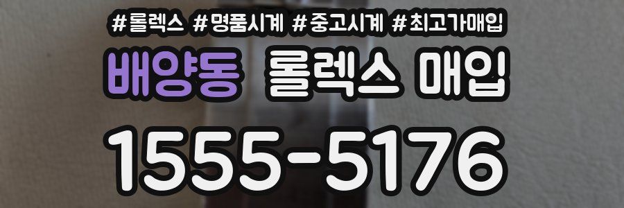 배양동 롤렉스 매입