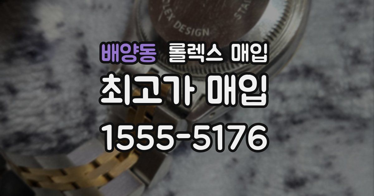 배양동 롤렉스 매입