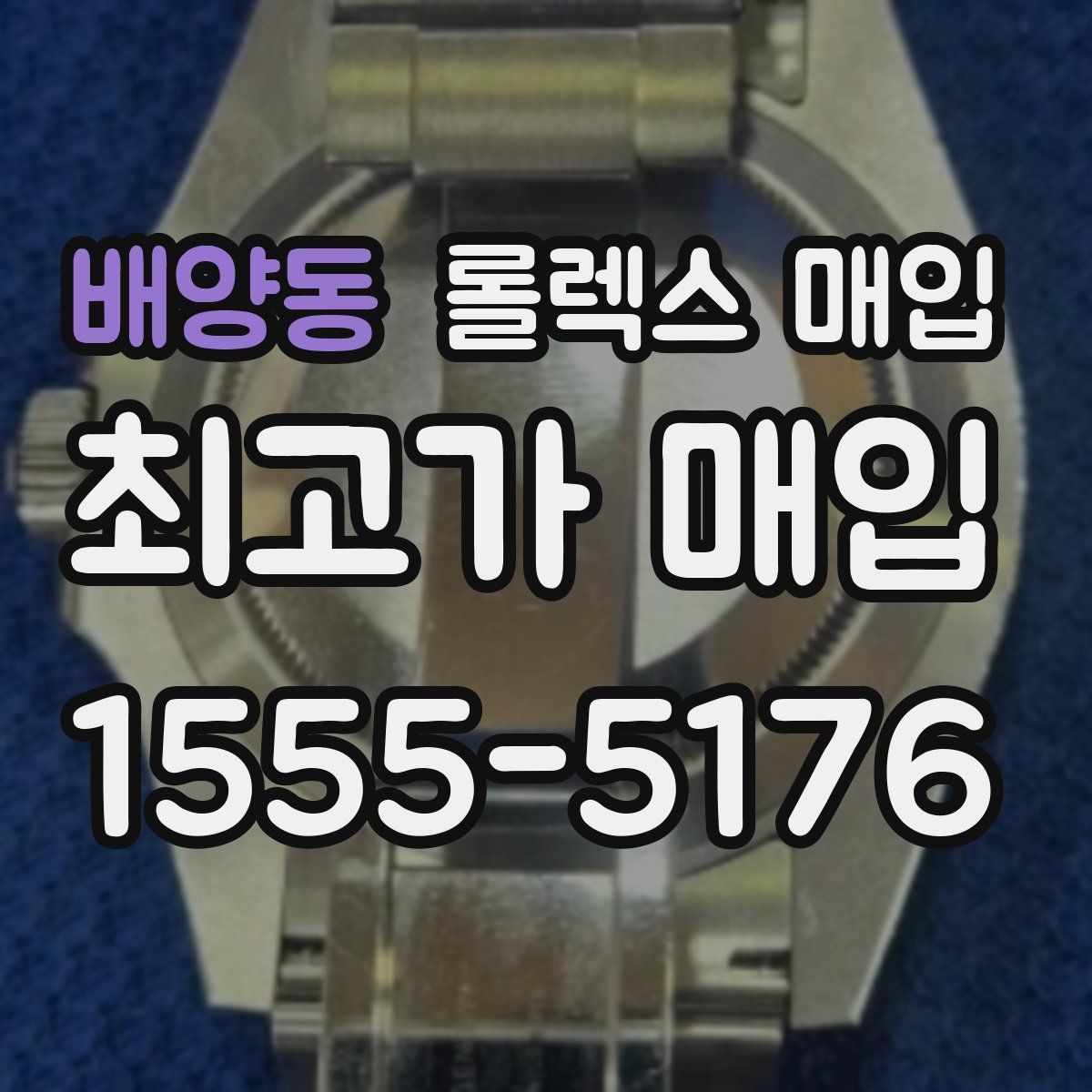 배양동 롤렉스 매입