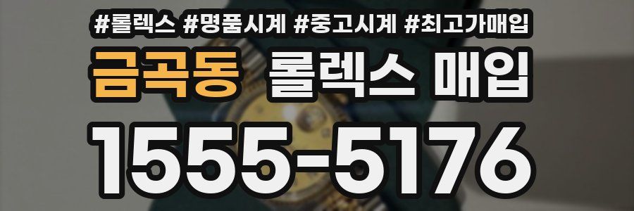 금곡동 롤렉스 매입