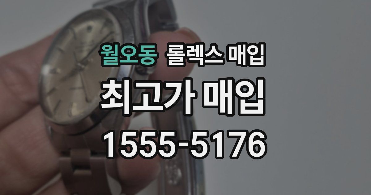 월오동 롤렉스 매입