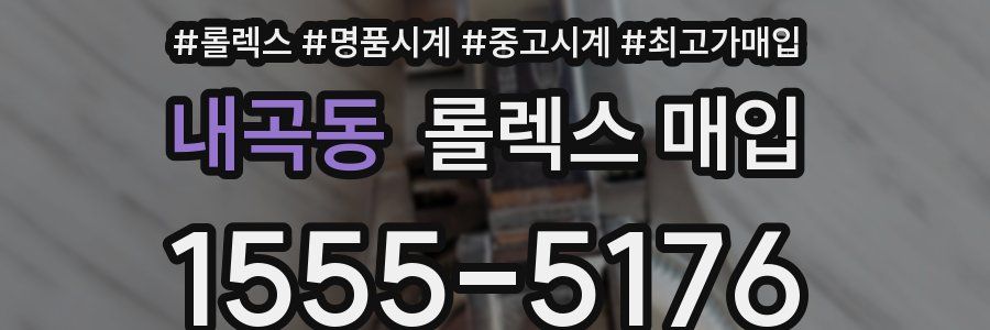 내곡동 롤렉스 매입