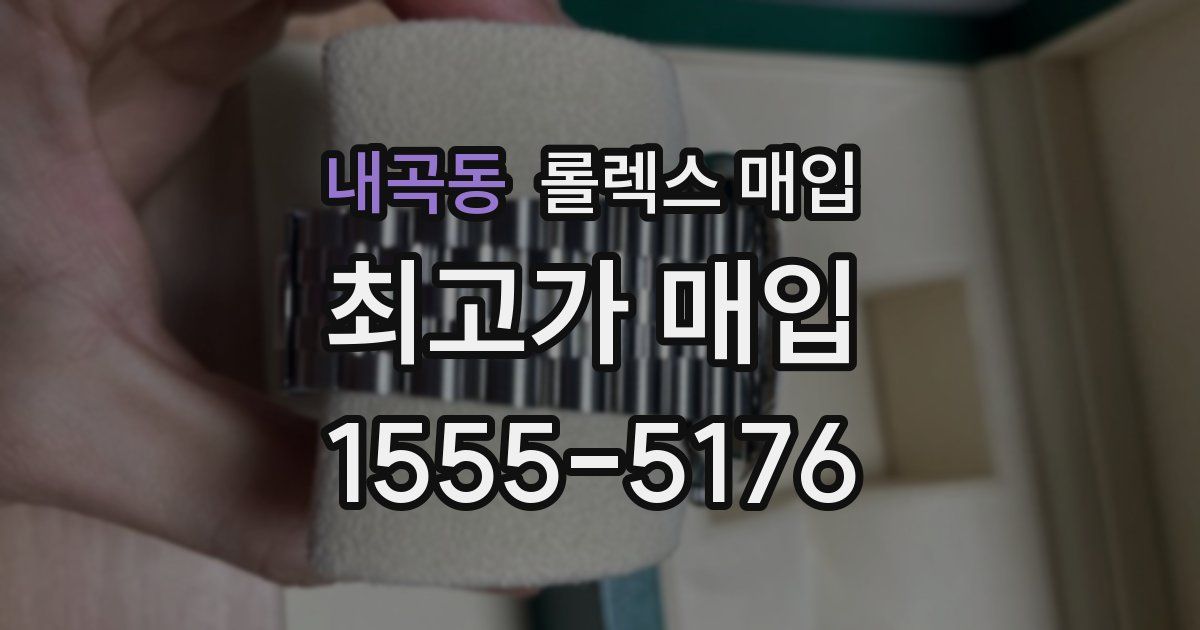 내곡동 롤렉스 매입
