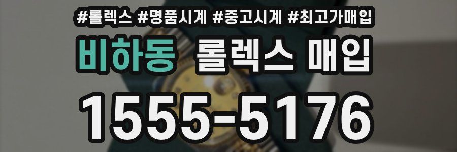 비하동 롤렉스 매입