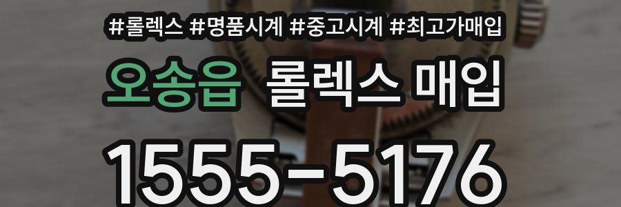 오송읍 롤렉스 매입
