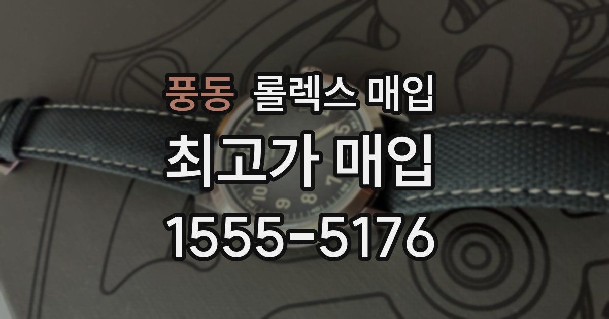 풍동 롤렉스 매입