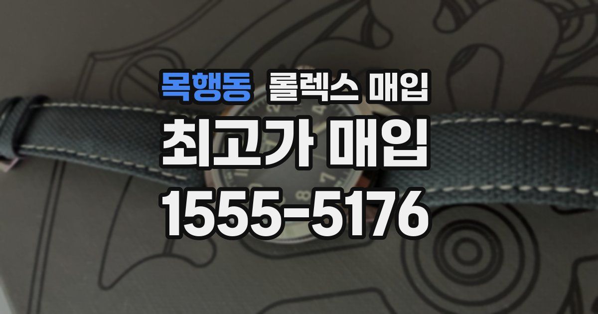 목행동 롤렉스 매입