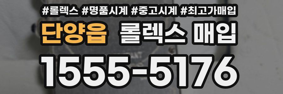 단양읍 롤렉스 매입