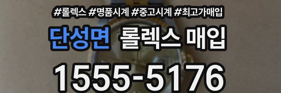 단성면 롤렉스 매입