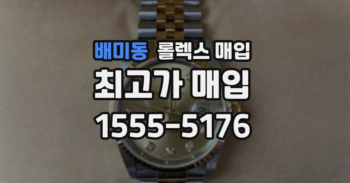 배미동 롤렉스 매입