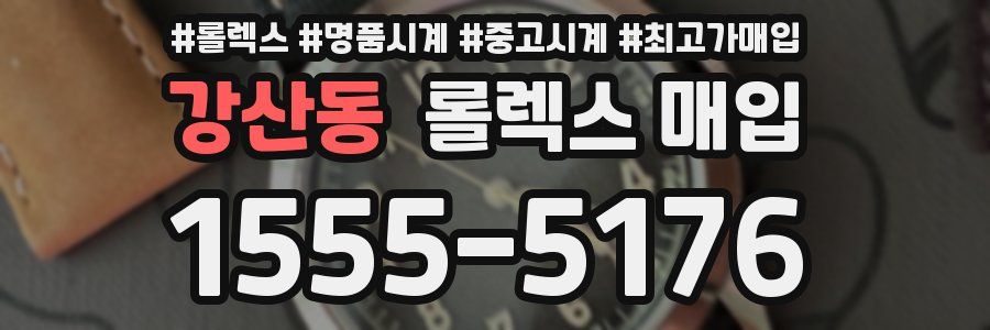 강산동 롤렉스 매입