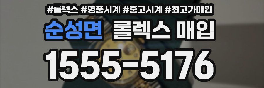 순성면 롤렉스 매입
