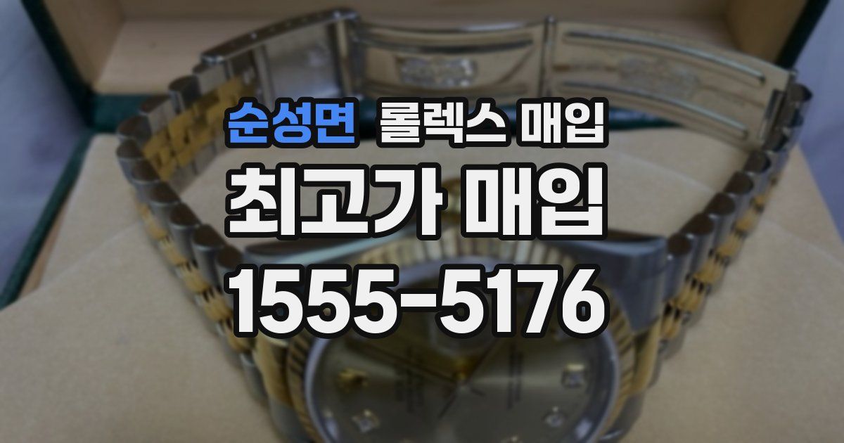 순성면 롤렉스 매입