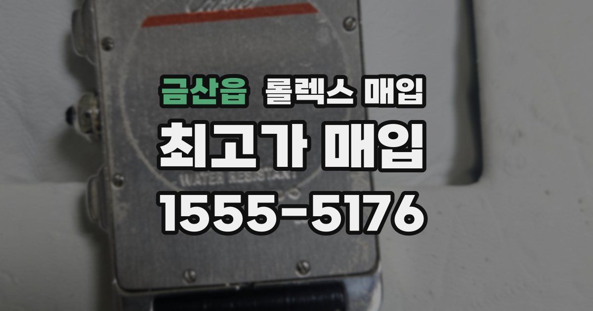 금산읍 롤렉스 매입